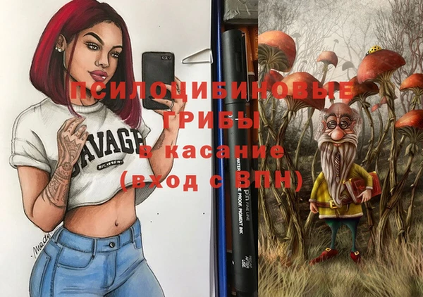 стафф Михайловка