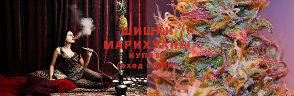соль ск Михайлов