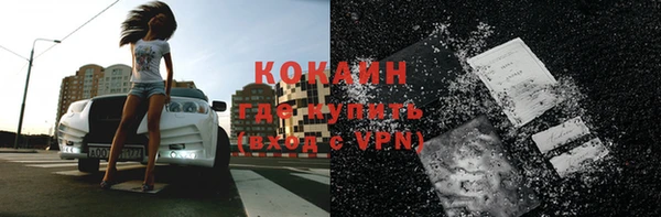 соль ск Михайлов