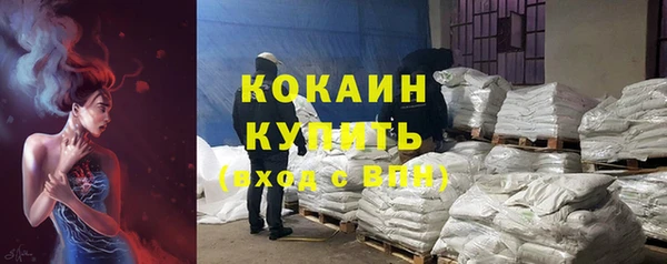 соль ск Михайлов