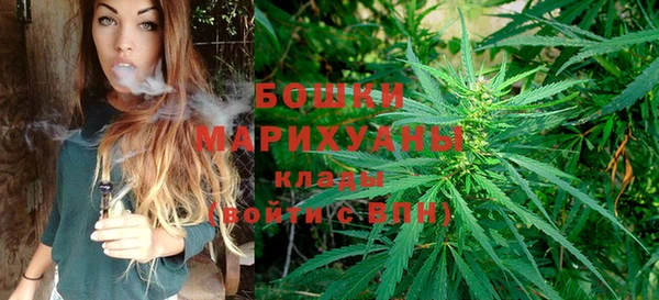 МДПВ Михайловск