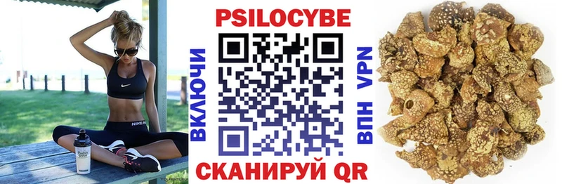 где купить наркоту  Енисейск  Псилоцибиновые грибы мицелий 